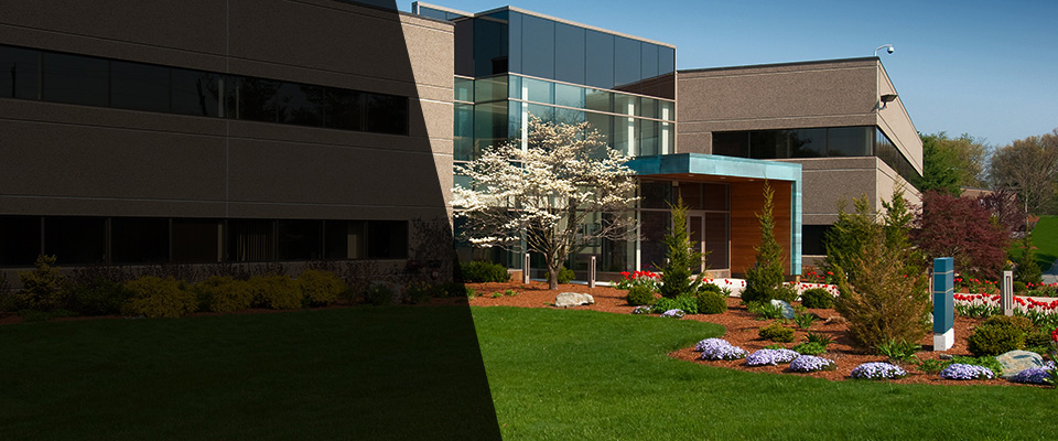 Fort Myer Landscapers