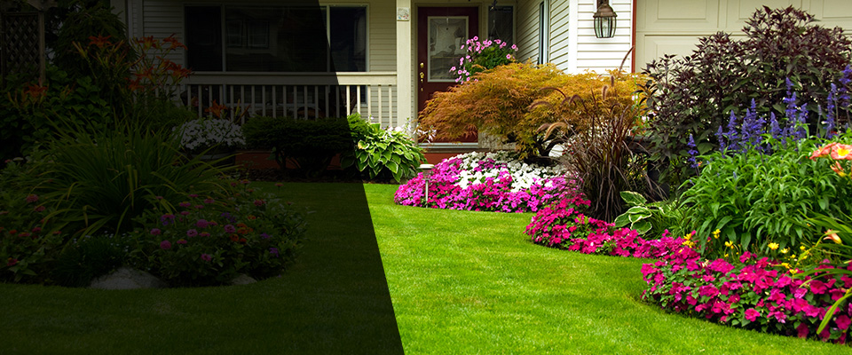 Fort Myer Landscapers