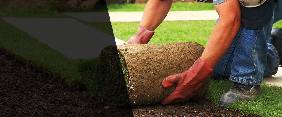Fort Myer Landscapers